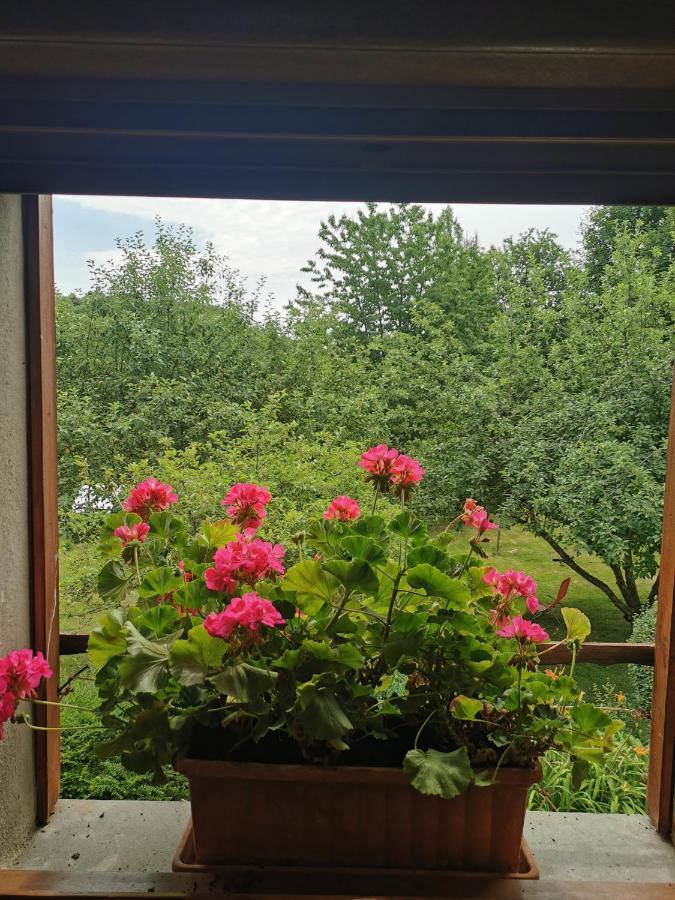 Bed and Breakfast La Grange A Leon Fresse Экстерьер фото